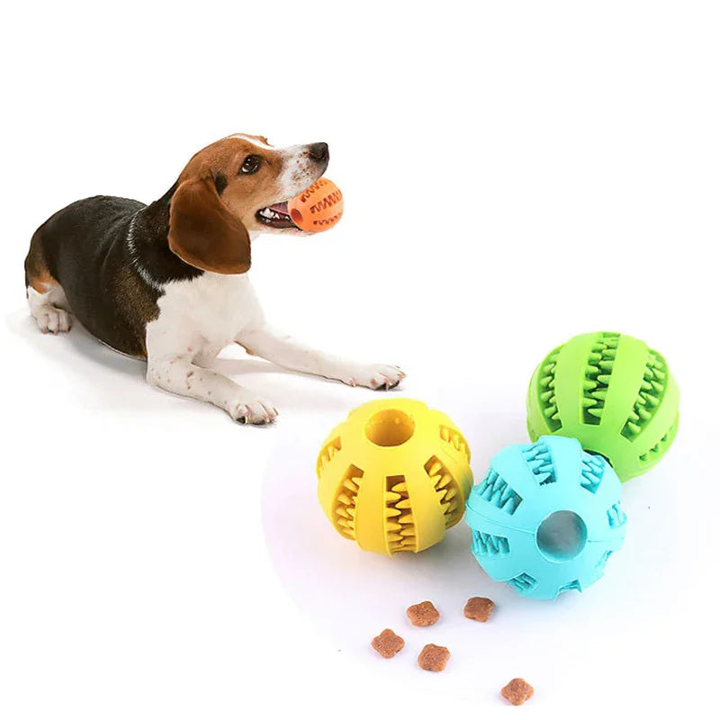 Dogs Chew Toy Ball